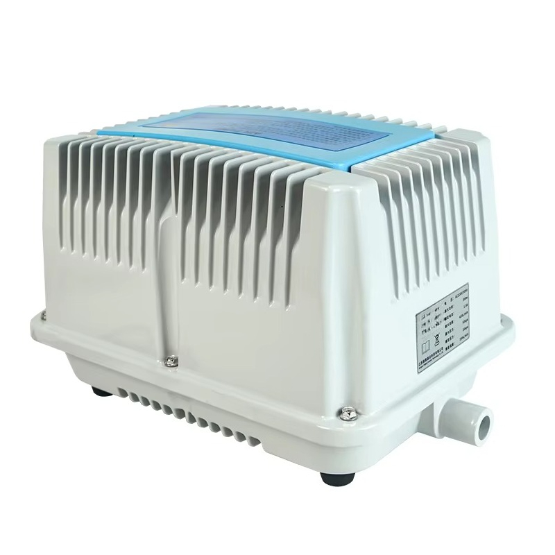 115v Car air Compressor/ 220v  - Car Vacuum review and price